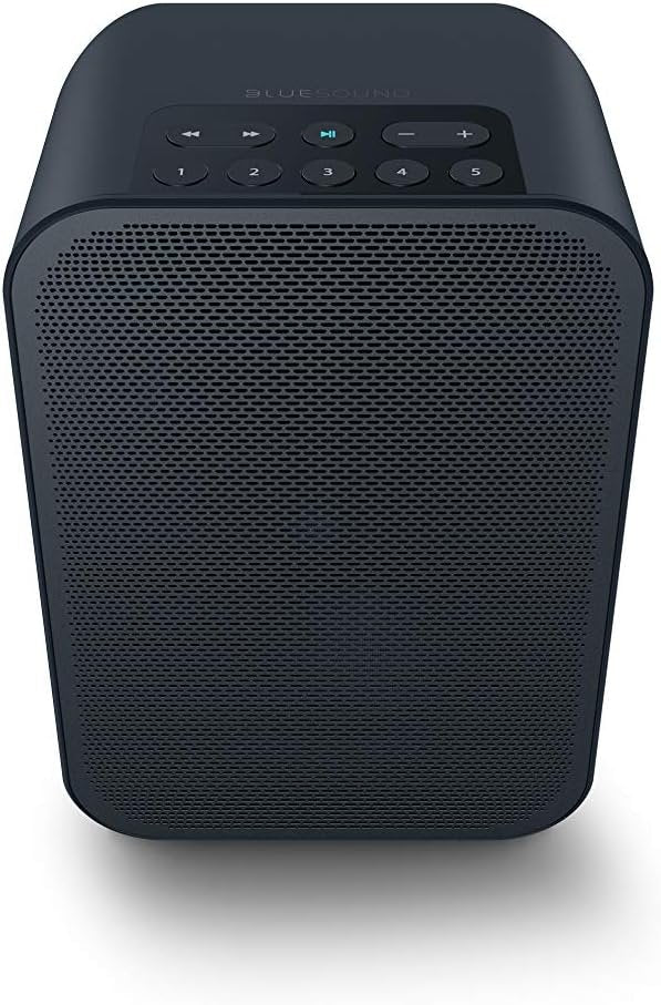 Bluesound Pulse Flex 2i Portable Wireless Streaming Speaker (Black, Speaker Only)