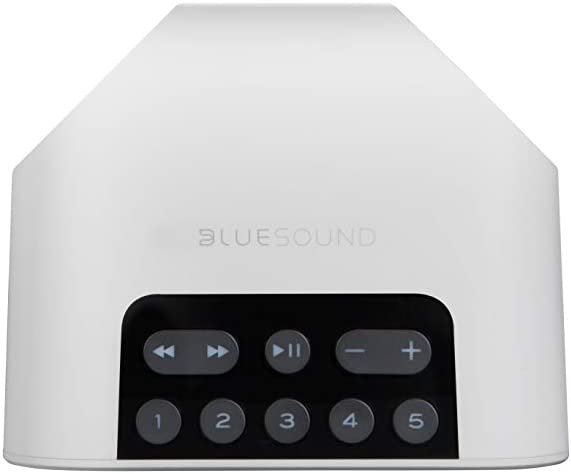 Bluesound Pulse Flex 2i Portable Wireless Streaming Speaker (Black, Speaker Only)